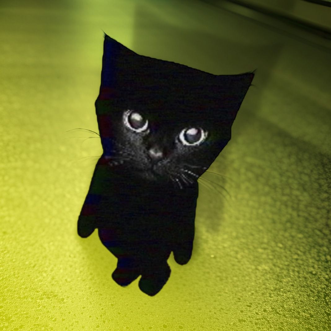 Nichi Coin: MEME Coin Game with Dark Cat Nichi – Unleash the Miauuu!