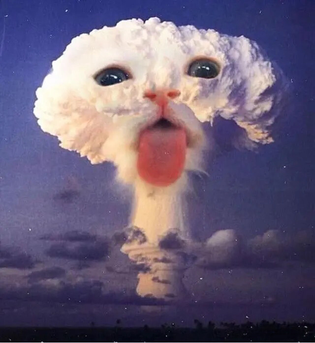 Nuki Coin: MEME Coin on Solana - The Nuclear Cat in MEME Frenzy