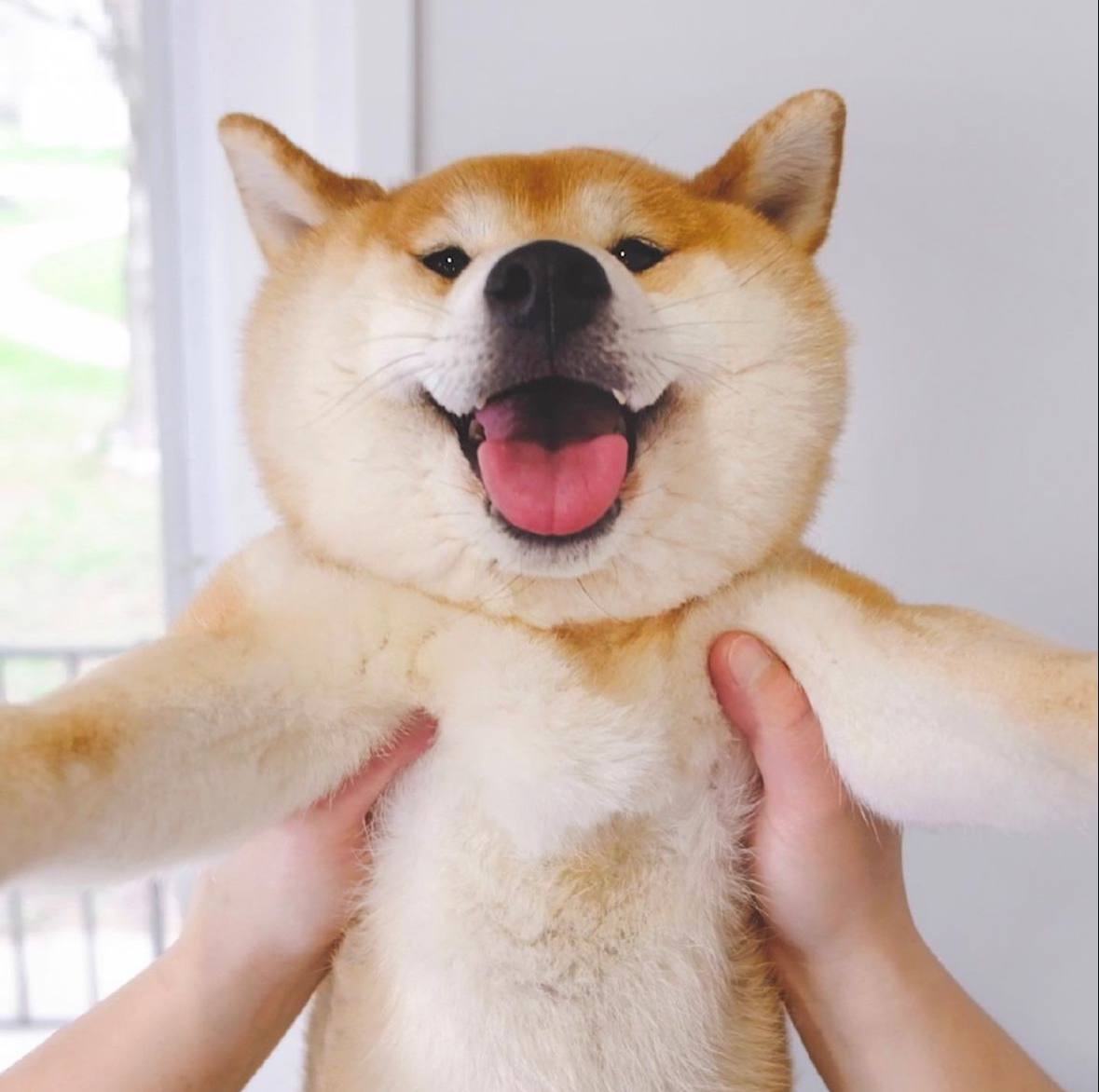 oka Coin: Join the MEME revolution with legendary oka Shiba Inu Coin