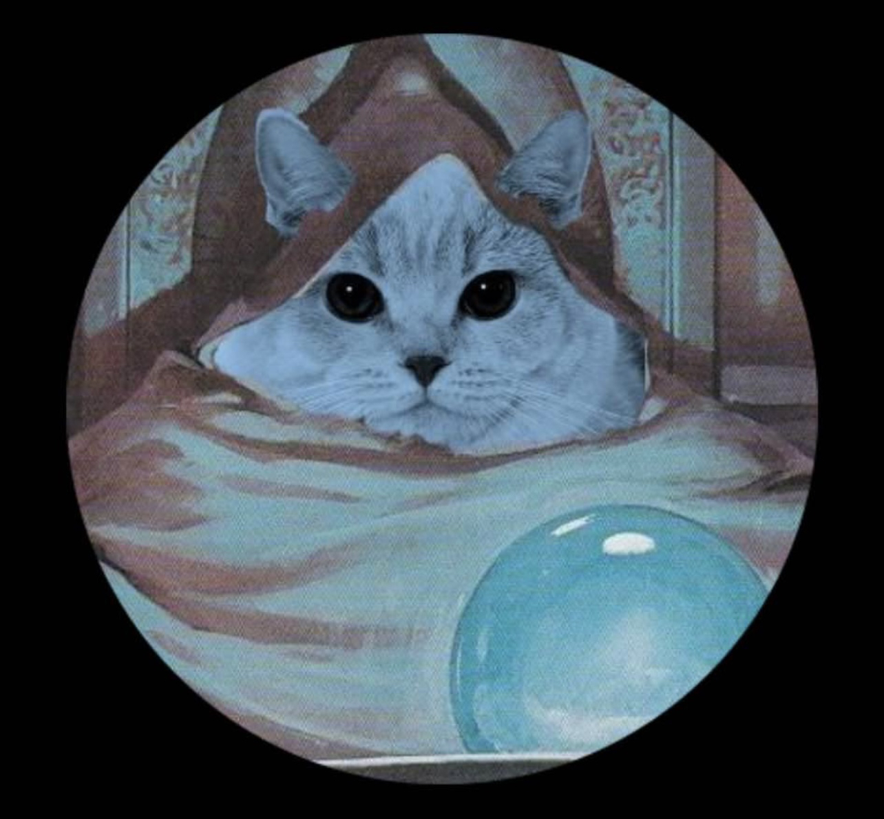 orbcat: orb Coin MEME Coin - Join the orbcat MEME revolution today!