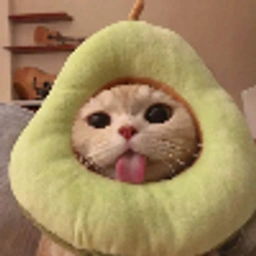 PC Coin: MEME Coin Pear Cat Transforms Into Anything You Imagine!