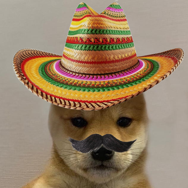 PERRO Coin: A meme coin with a sombrero, born on Cinco de Mayo