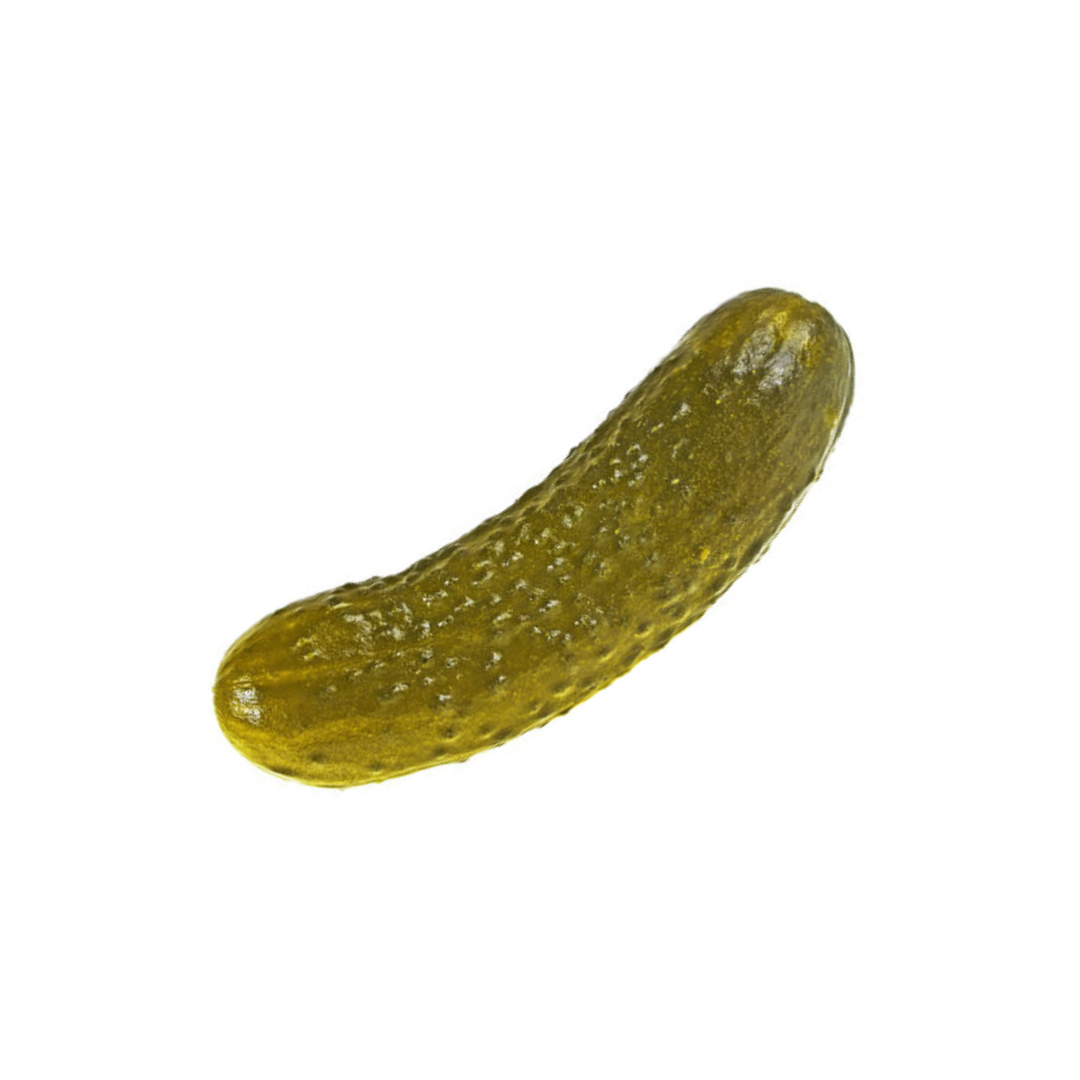 pickle Coin: The MEME Coin that's 'just a pickle' - Get Your Slice Now!