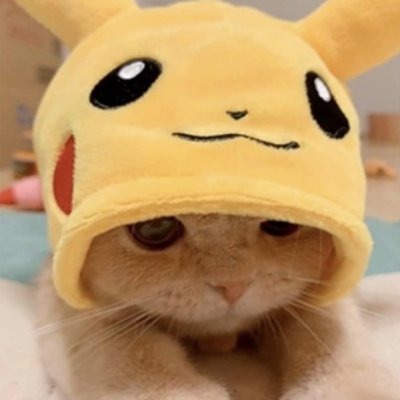 Pikacat Coin: MEME Coin with Pikachu & Cat Charm, Stay Ahead with $pikacat