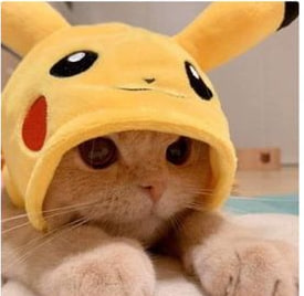 Pikacat Coin: The Cutest MEME Coin with Cat Wif Pika Hat