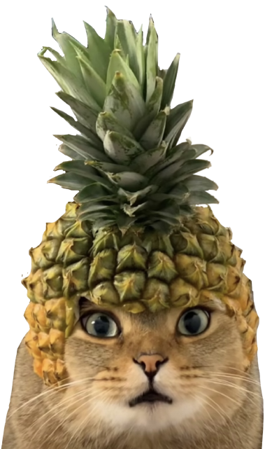 PCAT Coin: The Cutest MEME Coin - Explore Pineapple Cat Today!