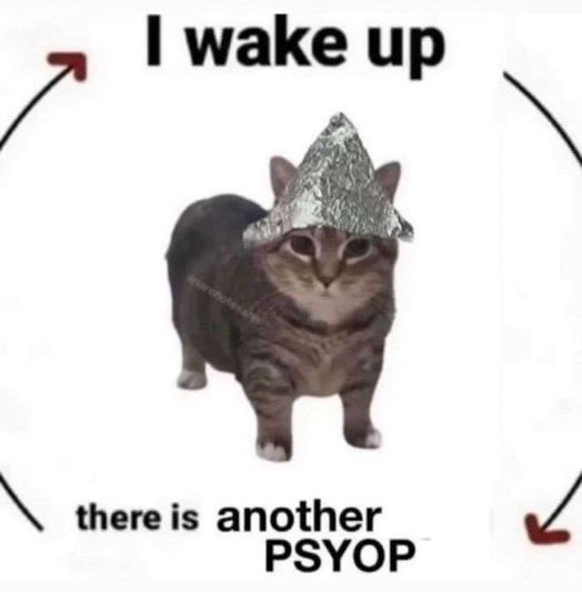 PSYOP Coin: PSYOP CAT MEME Coin – Unveil the Enigma, Join the Game!