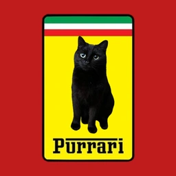 Purrari Coin: MEME Coin Revolution - Get Your $Purrari Today!