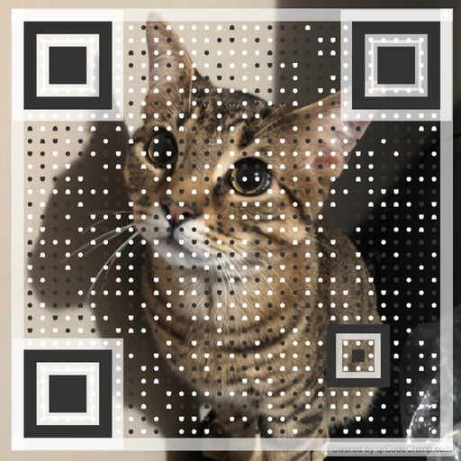 qrCAT: The Purrfect MEME Coin Name Coin Masterpiece!