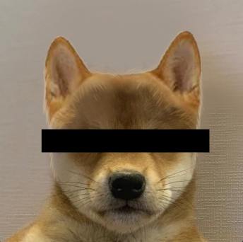 ReDog MEME Coin: Unleash Mystery & Power of Redacted Dog