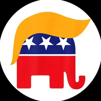 REPUBLICAN Coin: The MEME Coin Leading the True Party of the People