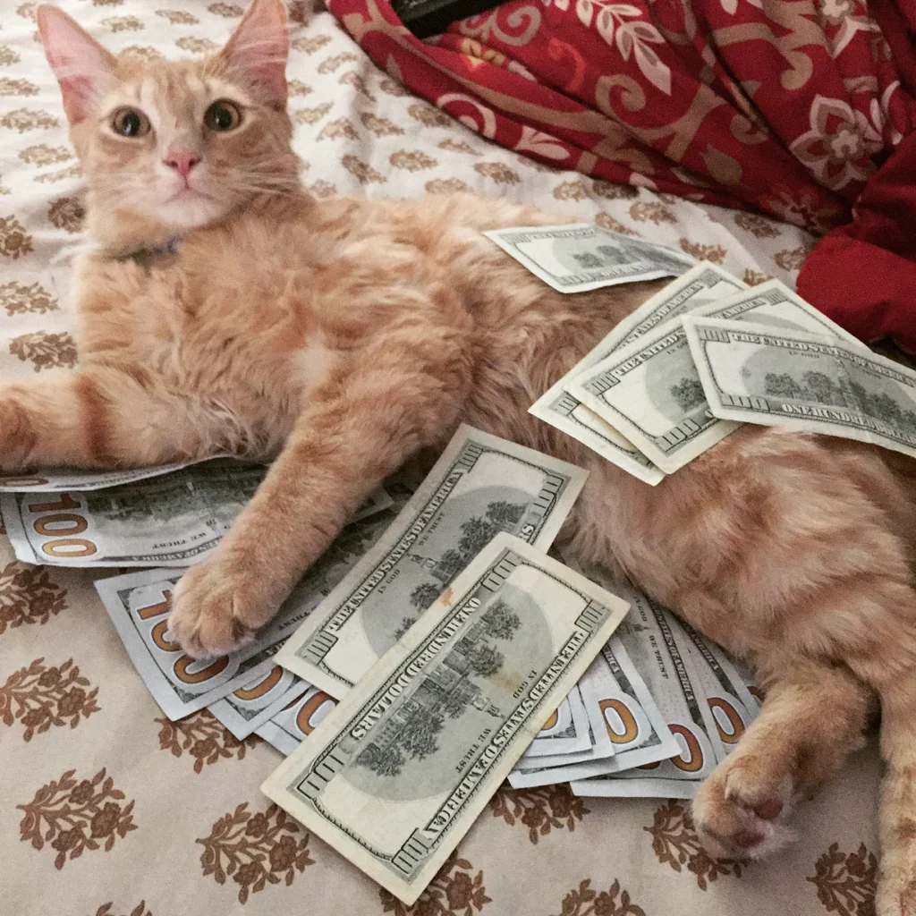 RICH CAT: The MEME Coin for Cat Lovers – Invest in RICH CAT Coin