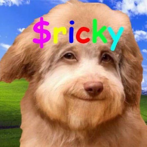 RICKY Coin: The Ultimate MEME Coin to Buy and Win Big!