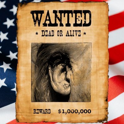 RIGHTEAR Coin: The Most Wanted MEME Coin in America – Join the Hunt