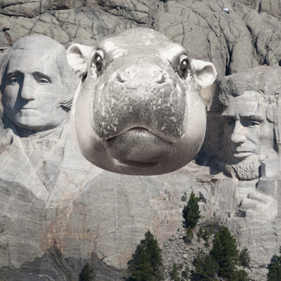 RUSHMOO: Join the MEME Coin Revolution - Mount Rushmoo's Unique Opportunity!