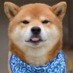 Ryuji Coin: MEME Coin Fun with the Most Expressive Shiba Inu Ryuji