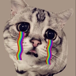 sad Coin: The Latest MEME Coin Featuring Iconic 'sad cat' Innovation