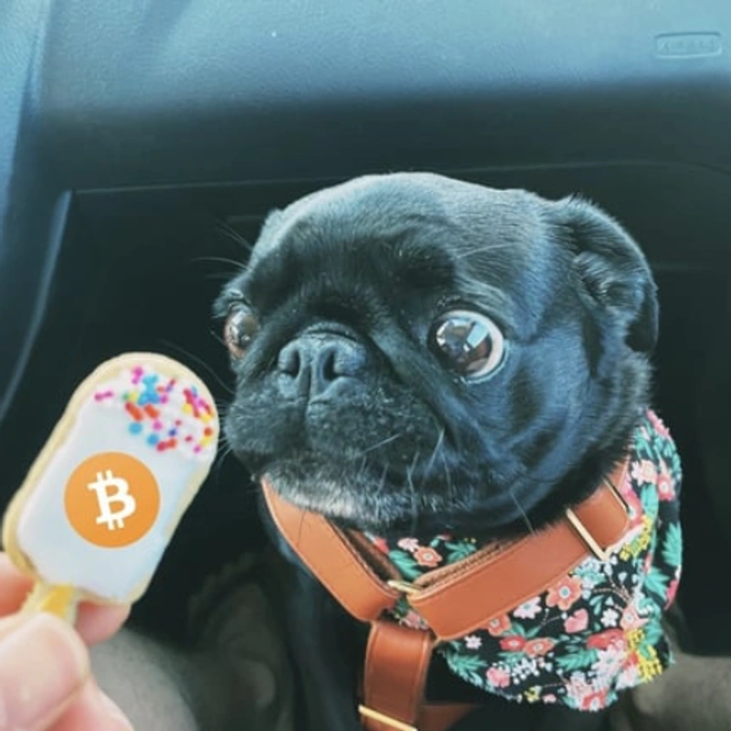 SATOSHI Coin: Introducing the first dog on the blockchain - the MEME Coin taking the crypto world by storm!