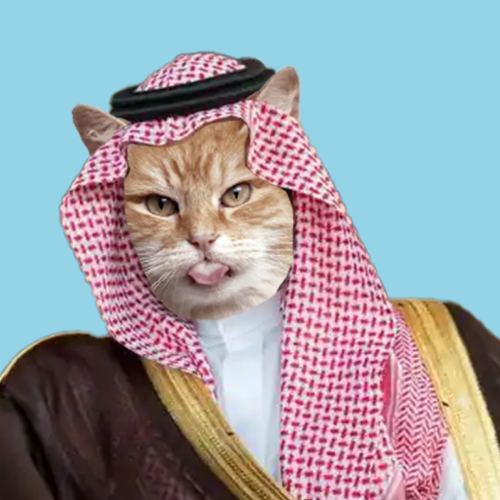 SCAT Coin: Sheikh Cat MEME Coin, playful and adventurous crypto delight