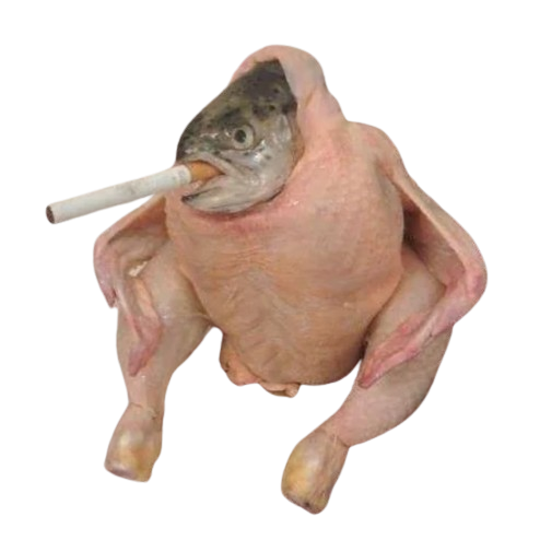 SCF Coin: Smoking Chicken Fish MEME Coin Inspired by Chickenithians 3:14