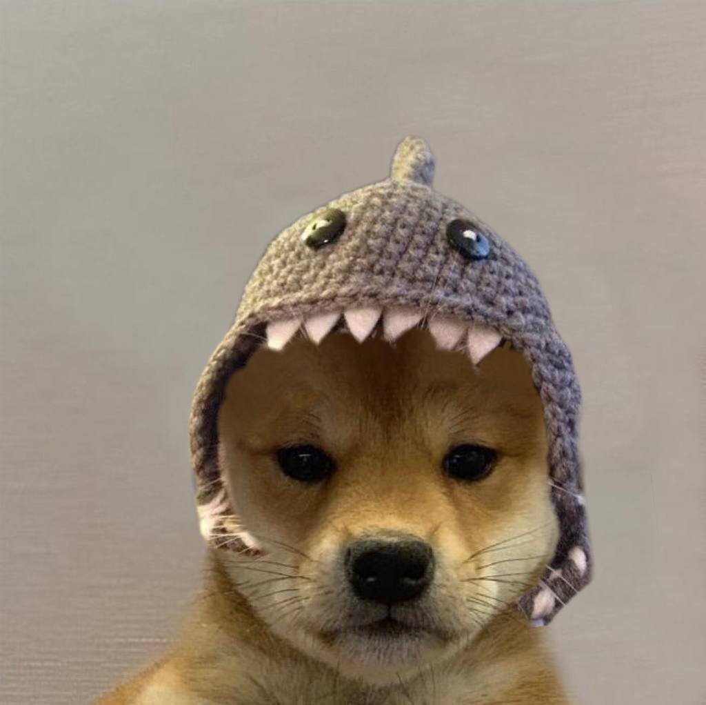 SD Coin: Meet Shark Dog, the Cute Pup in a Shark Hat MEME Coin