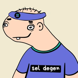 sel degen: The Wildest MEME Coin on Solana – Join the $sel Craze!