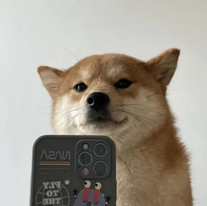 SELFIE: Capture the Moment with SelfieDogCoin - The Ultimate MEME Coin Revolution!