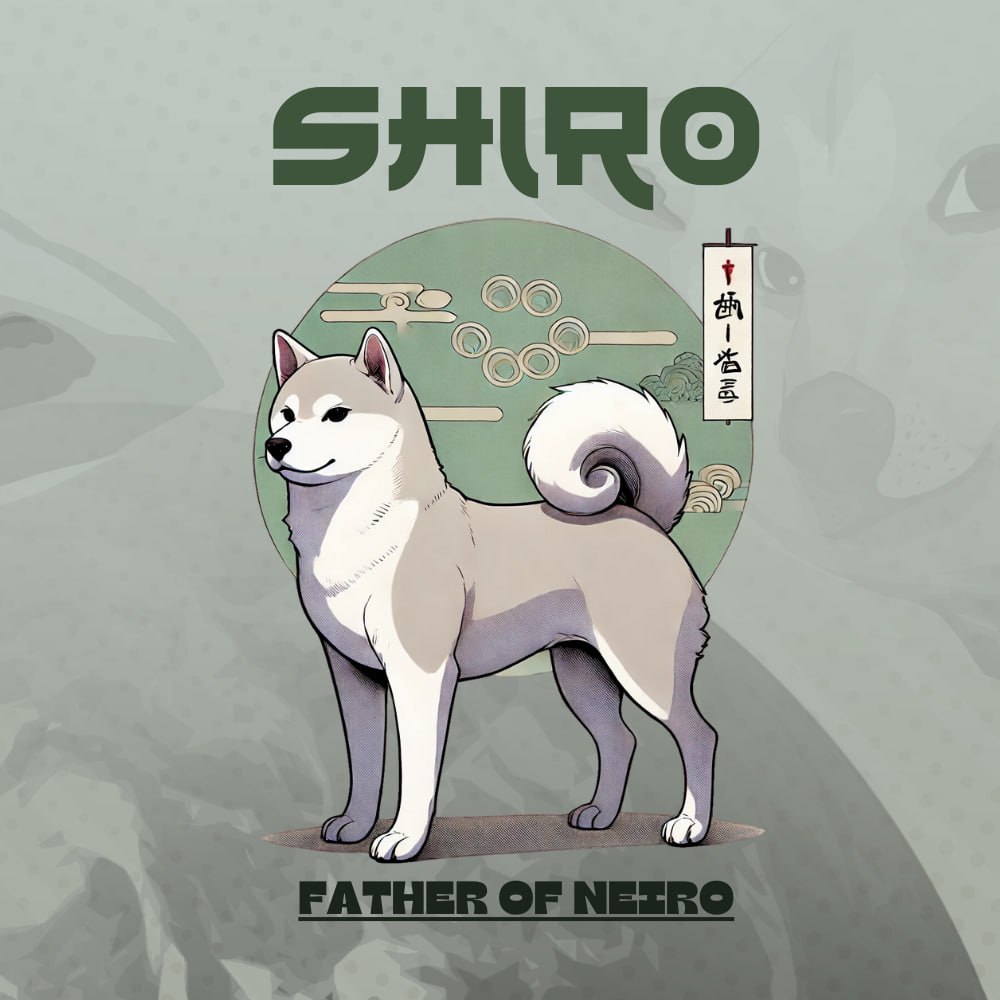 Shiro: Honorable & Disciplined MEME Coin Representing Respect and Honor