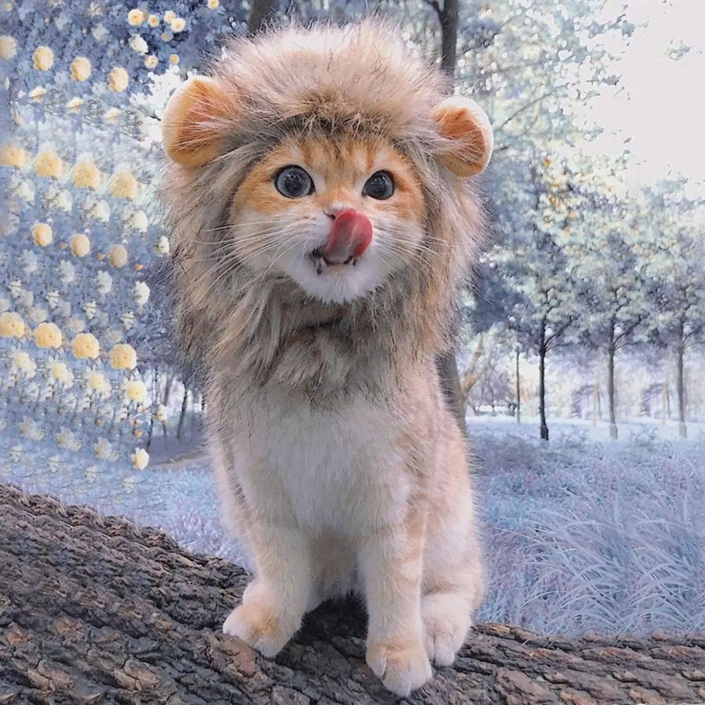 Simba Coin: The Fierce MEME Coin - Enter the Wild World of the Lion Cat!