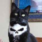 $SKULLCAT Coin: Rule the MEME Coin World with Skull Cat Power!