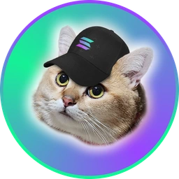 SOLCAT MEME Coin: Savvy CatSolHat in Cool Meme Coin Adventures