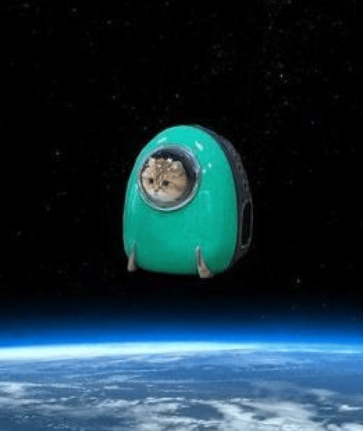 SPACEPUSSY Coin: The Ultimate MEME Coin - Explore the MEME Universe Now!'