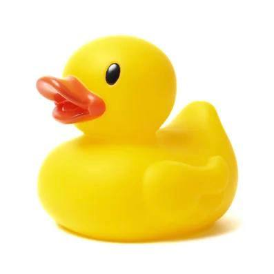 SRD Coin: Swimming Rubber Duck MEME Coin - Trade like water, flow easy.