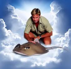 STEVE: Introducing MEME Coin paying homage to Steve Irwin, the legendary Crocodile Hunter.