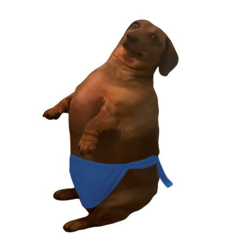 SUBO Coin: THICKEST sumo wrestling wiener dog on Solana! Join MEME Coins revolution and unleash the fun with SUBO on 'MEME is Game'!