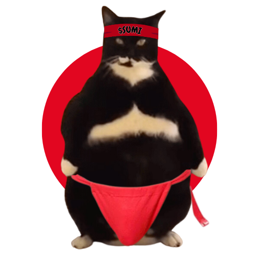 SUMI: Introducing the Chonkiest Sumo Wrestling Cat on Solana - Stay Updated on MEME Coin!