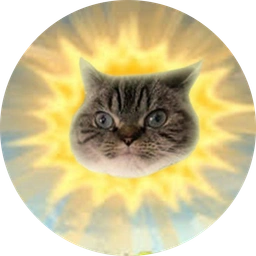 Suncat Coin: Ride the MEME Coin Wave with SUNCAT Coin and Shine Bright!