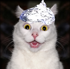 TINFO Coin: Unmask the Truth in MEME Gaming with TINFO CAT Coin