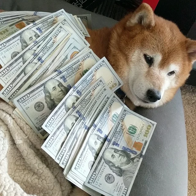 TOBI Coin: Rich Shiba Inu MEME Coin Aiming for $1 Billion