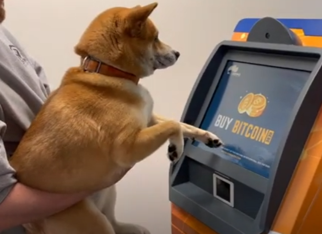 TOSHI: Join the MEME Coin Revolution - First Dog to Buy Crypto