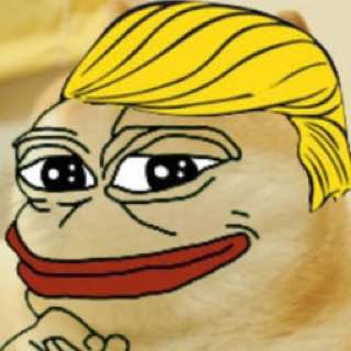 TPDOGE Coin: The Ultimate MEME Coin Blending Trump, Pepe, and Doge!