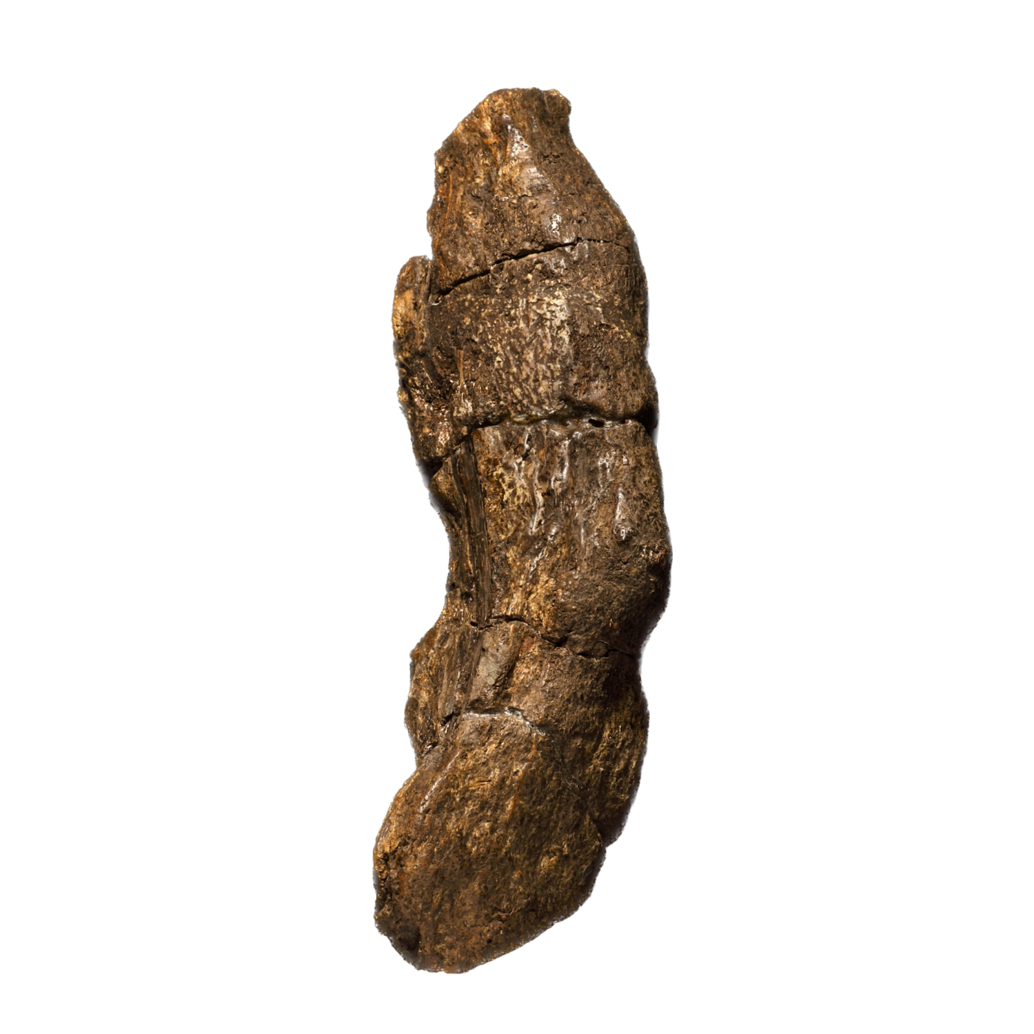 TURD Coin: World's Oldest MEME Coin Inspired by Lloyds Bank Coprolite