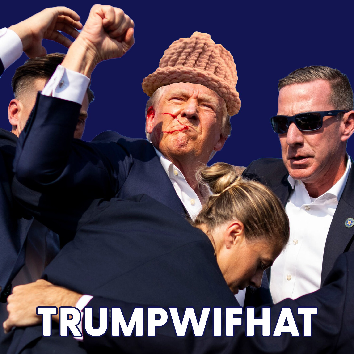 Twif Coin: MEME Coin Trumpwifhat—The Latest Meme Coin Sensation!