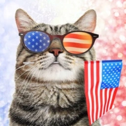 USA Cat Coin: Join the MEME Coin Revolution on Solana with USA Cat Coin