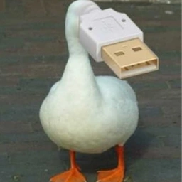 USBD Coin: Quirky USB DUCK MEME Coin Ready to Plug into Your Collection!