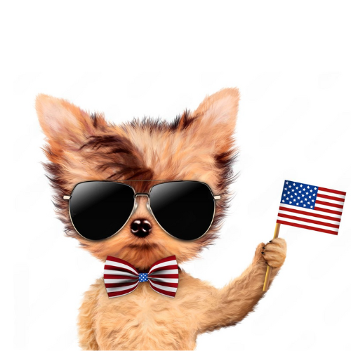 USD Coin: United States Dog MEME Coin - Join the Patriotic MEME Coin Trend!