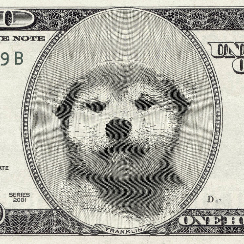 usDog Coin: In Dog We Trust! The Ultimate MEME Coins Revolution