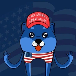 USDOGE Coin: The American MEME Coin Taking the World by Storm!