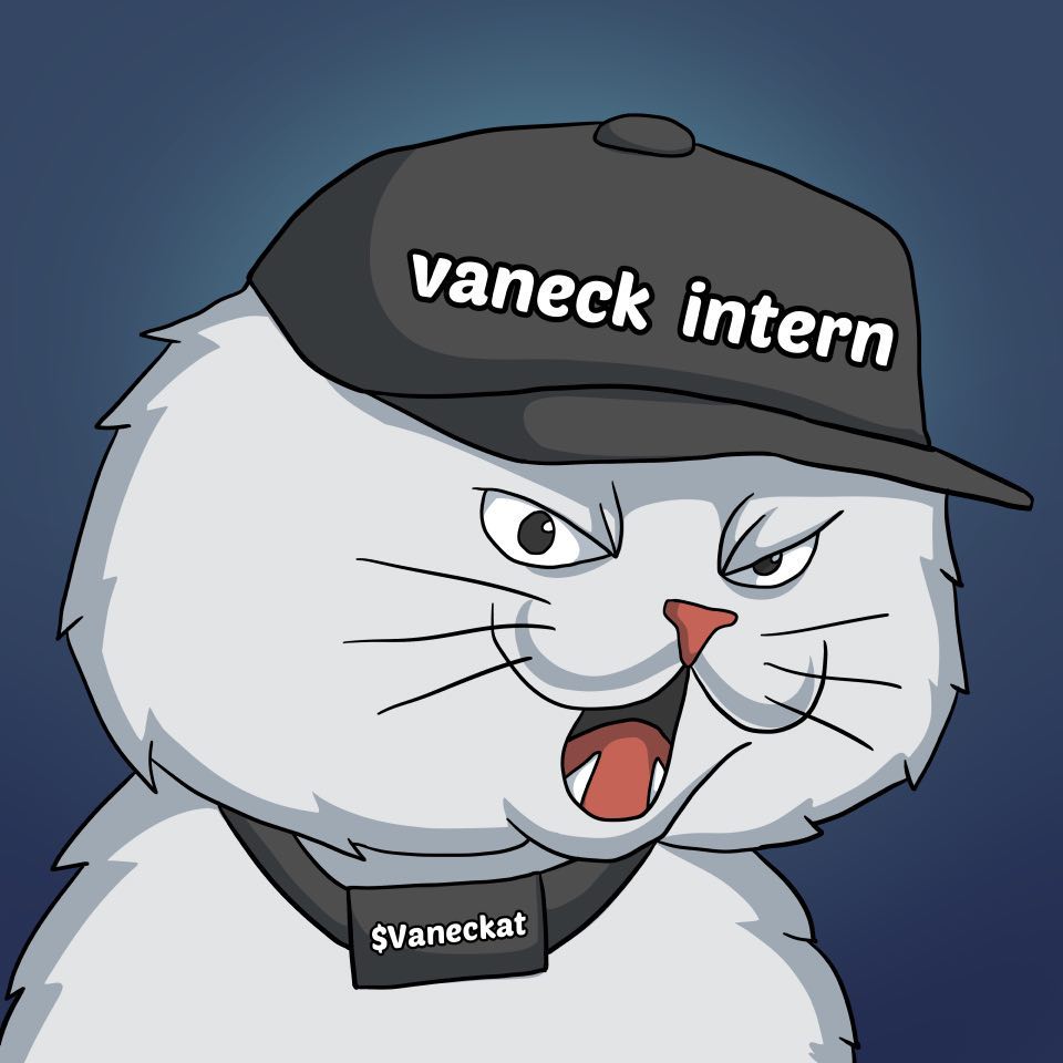 $vanecKAT Coin: Revolutionary MEME Coin with 50% Burn and Liquidity