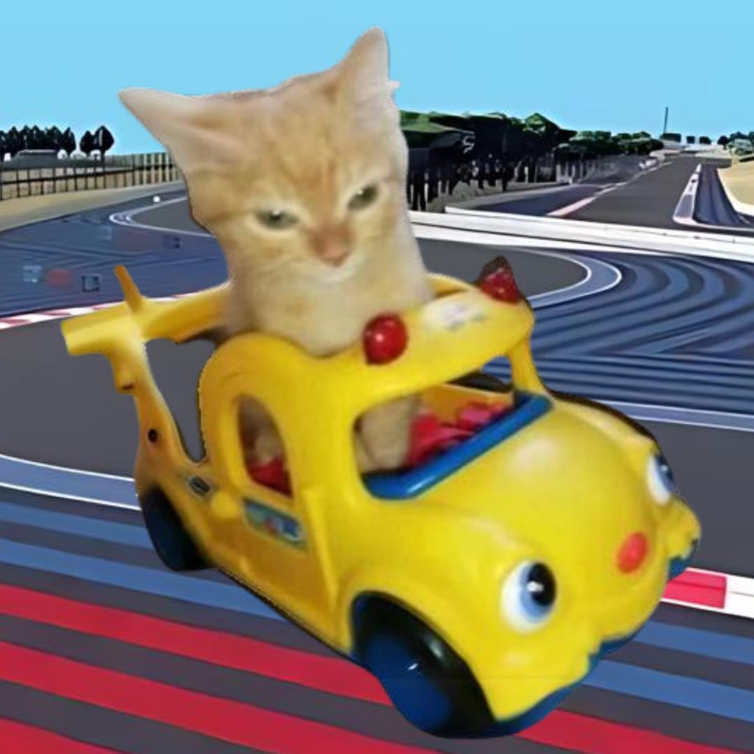 Vroom Coin: MEME Coin speeding Solana with Vroom Cat, the fastest feline!